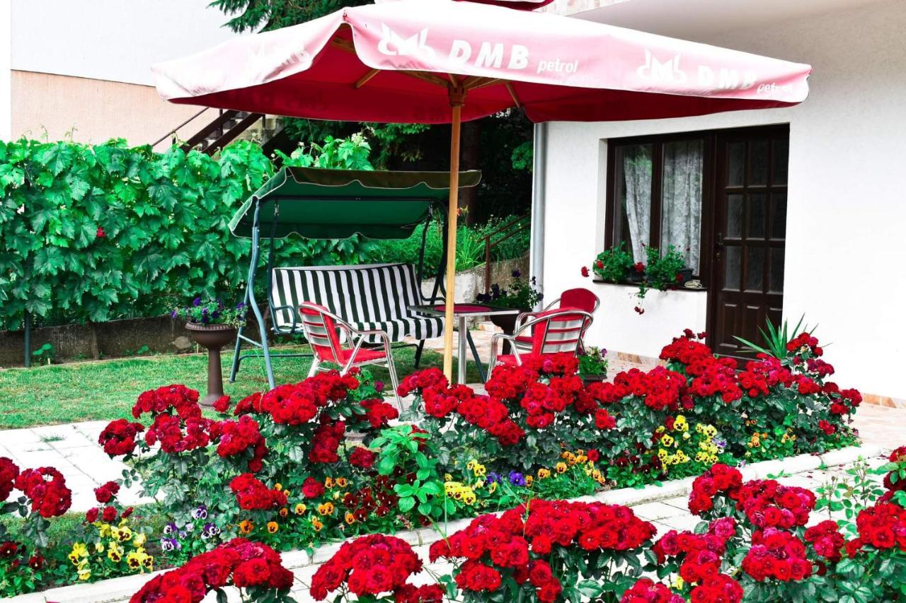 Apartmani "Vila Jelena" Arandjelovac Exterior photo