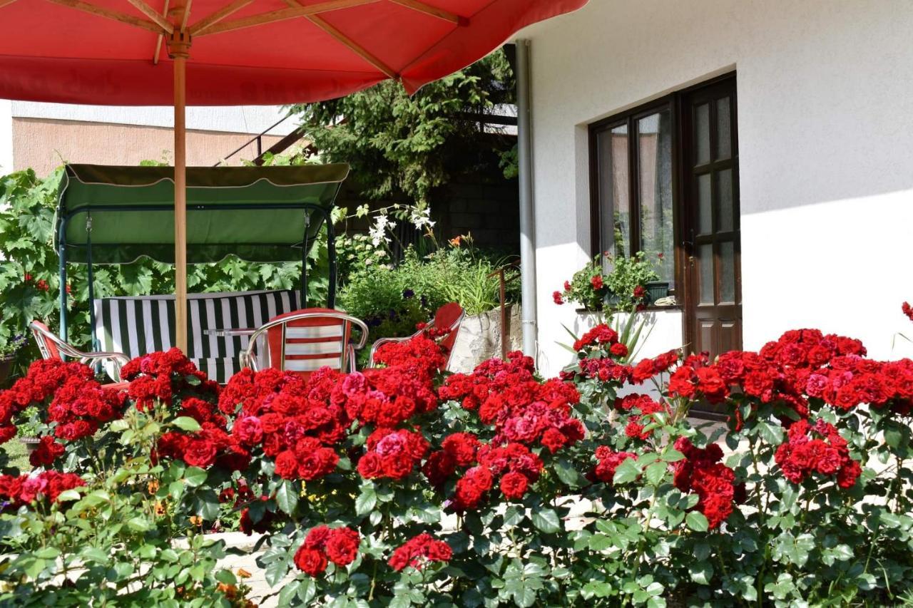 Apartmani "Vila Jelena" Arandjelovac Exterior photo