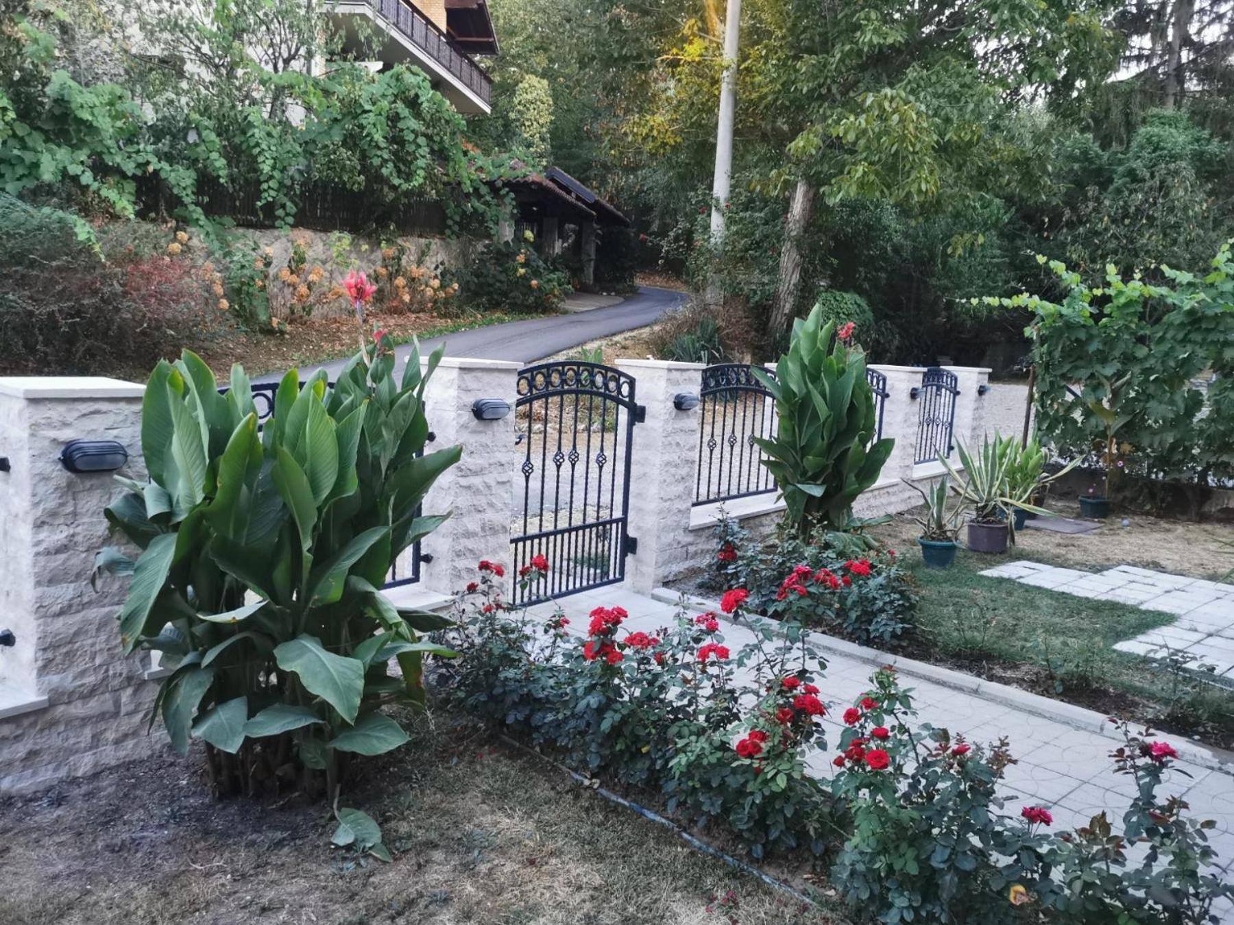 Apartmani "Vila Jelena" Arandjelovac Exterior photo