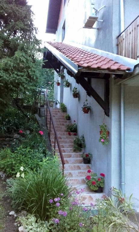 Apartmani "Vila Jelena" Arandjelovac Exterior photo