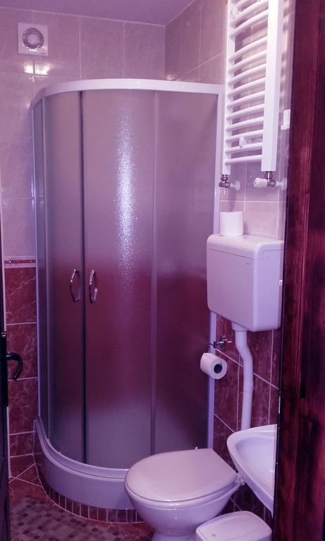 Apartmani "Vila Jelena" Arandjelovac Exterior photo